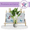Photoroom-20250126_203742.webp